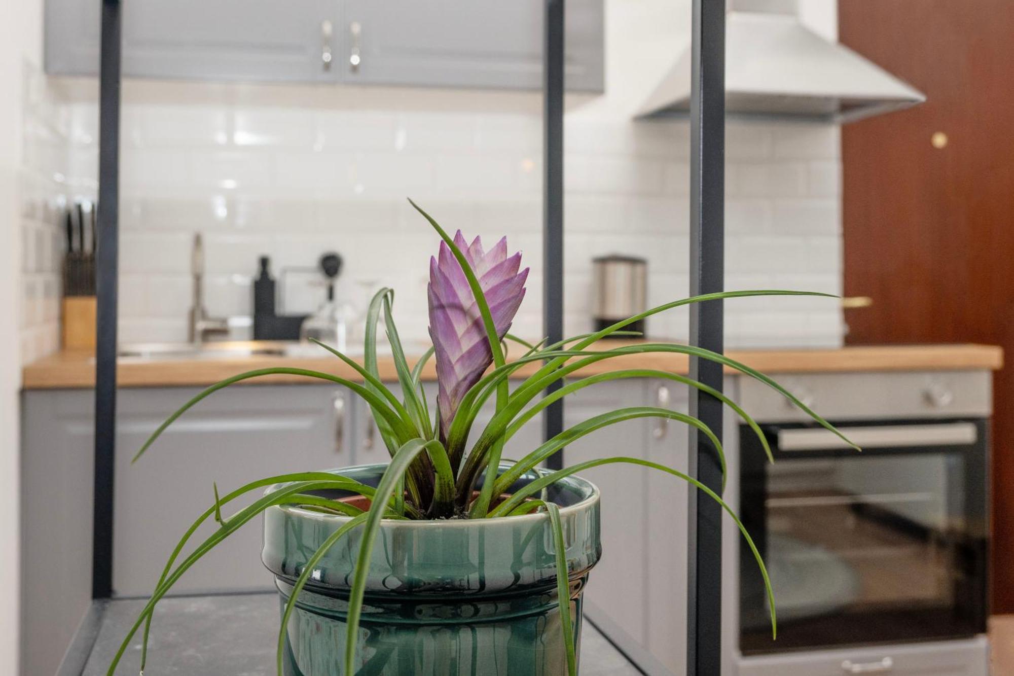 Studio Apartment Stadium Zagreb Luaran gambar